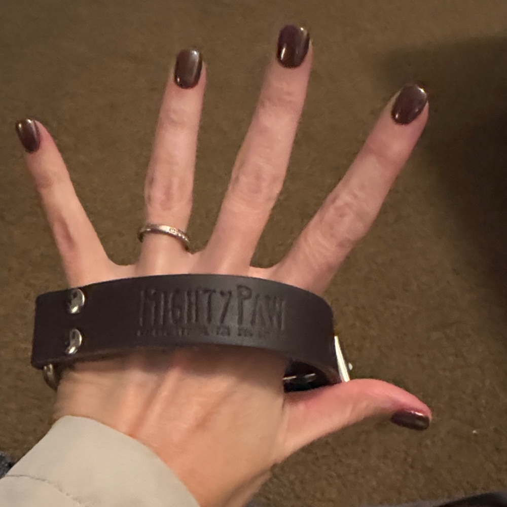 Brown Leather Dog Collar